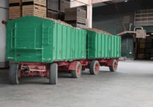 Grüne landwirtschaftliche Anhänger mit losen Kartoffeln in der Halle, im Hintergrund ist eine Entnahmestelle zu sehen.