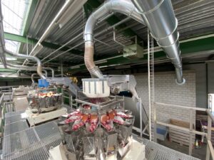 Conduits d'évacuation des gaz au-dessus de la ligne de conditionnement des oignons chez Gugger-Guillod, où les oignons sont distribués via une peseuse à plusieurs têtes.