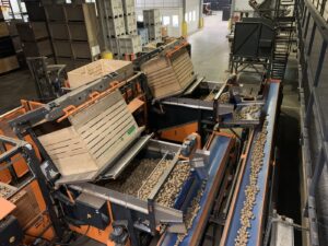 Fully automated crate unloading line for potatoes at Leo de Kock.