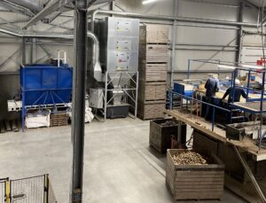 Sortier- und Kontrolllinie, an der Mitarbeiter Kartoffeln prüfen, mit integrierter Filteranlage und rundum befindlichen Absaugstellen.