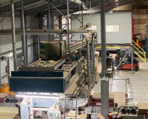 Übersicht der Kartoffelverarbeitungslinie mit Förderbändern, Entnahmelinien und einem Gabelstapler in der Produktionshalle.